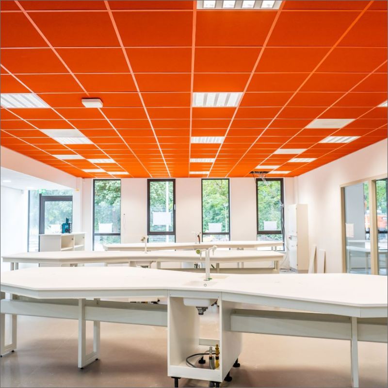 Plafond Suspendu